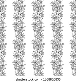 Oriental Lilies. Black and white seamless pattern of the stripes of flowers and buds. Monochrome hand-drawn collection. Vector illustration.