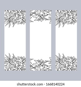 Orientalische Lilie. Drei vertikale Grußkarten mit Blumen, Knospen und Blättern. Schwarz-Weiß-Kollektion, handgezeichnet. Vektorillustration.