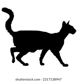 Oriental Longhair cat silhouette cat breeds vector