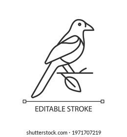 Oriental magpie linear icon. Flying bird. Taiwan wildlife. Wild animal. Protected species. Thin line customizable illustration. Contour symbol. Vector isolated outline drawing. Editable stroke