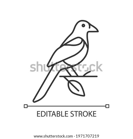Oriental magpie linear icon. Flying bird. Taiwan wildlife. Wild animal. Protected species. Thin line customizable illustration. Contour symbol. Vector isolated outline drawing. Editable stroke Stock photo © 
