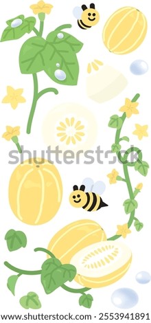 oriental melon Korean melon Chamoe