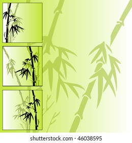 oriental pattern with stems of bamboo