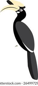 Oriental pied Hornbill, Anthracoceros albirostris. Hornbill in Thailand and Southeast Asia vector illustration.