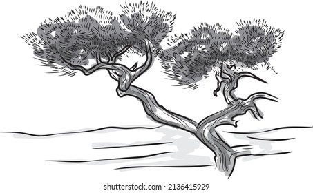 Oriental pine tree painting vector illustration that looks like it was drawn with a brush