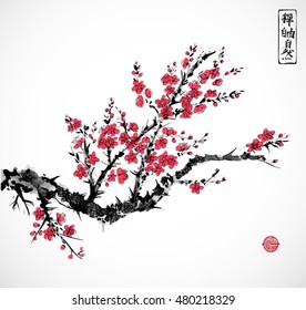 Oriental red sakura cherry tree in blossom on white background. Traditional oriental ink painting sumi-e, u-sin, go-hua. Contains hieroglyphs - zen, freedom, nature