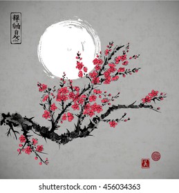 Oriental sakura cherry tree in blossom and the moon on night background. Contains hieroglyphs - zen, freedom, nature, beauty. Traditional oriental ink painting sumi-e, u-sin, go-hua. 