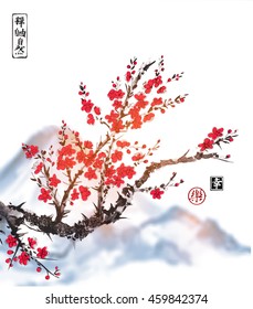 Oriental sakura cherry tree in blossom on white background.Traditional oriental ink painting sumi-e, u-sin, go-hua. Contains hieroglyphs - zen, freedom, nature, joy, happiness