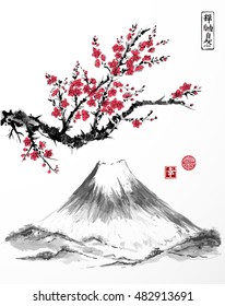 Oriental sakura cherry tree in blossom and Fujiyama mountain on white background. Contains hieroglyphs - zen, freedom, nature, happiness. Traditional Japanese ink painting sumi-e.