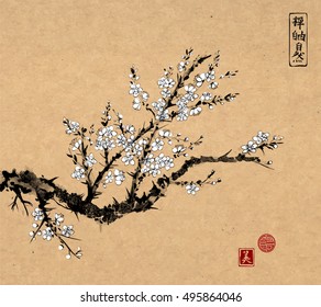 Oriental sakura cherry tree in blossom on vintage background. Traditional oriental ink painting sumi-e, u-sin, go-hua. Contains hieroglyphs - zen, freedom, nature, beauty