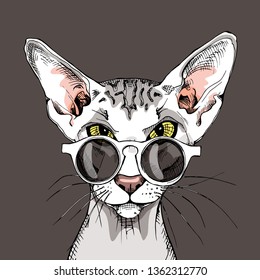 Oriental Shorthair cat in a glasses. Humor card, t-shirt composition, hand drawn style print. Vector illustration.