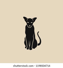 Oriental shorthair cat - isolated vector illustration