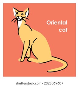 Oriental shorthair cat line icon. Farm animals. Pictogram for web page, mobile app, promo.