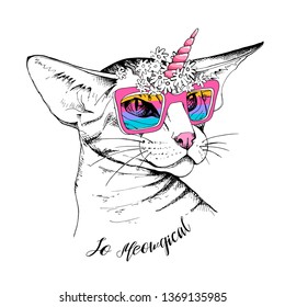 Oriental Shorthair cat in a rainbow glasses, chamomile flowers and with a pink unicorn horn. Humor card, t-shirt composition, hand drawn style print. Vector illustration.