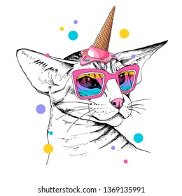 Oriental Shorthair cat in a rainbow glasses and with pink ice cream party hat. Humor card, t-shirt composition, hand drawn style print. Vector illustration.
