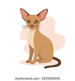 Oriental shorthair cat sits upright with sharp features and big ears. The oriental shorthair cat design emphasizes grace and distinct oriental shorthair beauty.