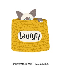 Oriental shorthair cat sitting in laundry basket. Hand drawn vector illustration with little kitten inside hamper, pet head and claws. Isolated element for decal, sticker, card, invitation, nursery 