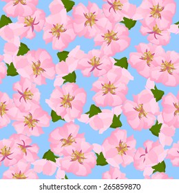 Oriental style painting, cherry blossom in spring - Illustration