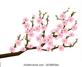 Oriental style painting, cherry blossom in spring - Illustration - Shutterstock ID 267869366