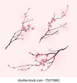 Oriental Style Painting, Cherry Blossom Buds In Spring, Three Different Compositions.