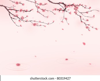 oriental style painting, cherry blossom in spring