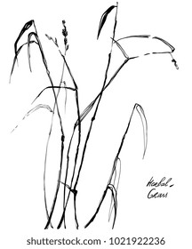 Oriental vector ink grass meadows hand drawn ink vector botanical stalk. Vintage nature element for visit card or wedding invitation. Stylish flower, fancy blossom. Black line botanic motiv.Herbal eco