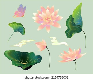 Oriental vintage drawings of lotus flowers and leaves. Botanical elements isolated on light green background.