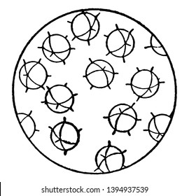 A orientação das moléculas como apareceriam em um gás ou um líquido e as moléculas são espaçadas bem o suficiente longe umas das outras vintage desenho de linha ou gravura ilustração.