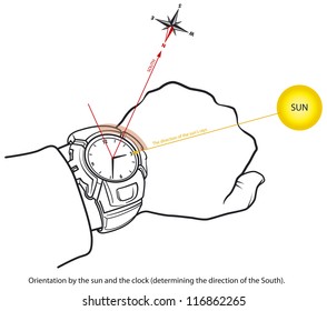 Orientation using clock, and sun. Determining the south.