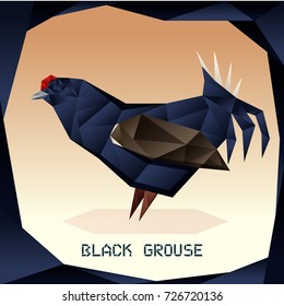 Origami Black Grouse