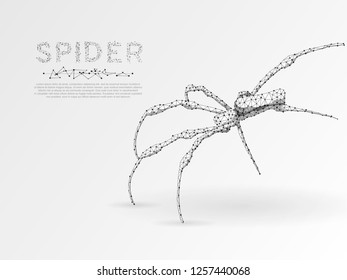 Origami style, Climbing Spider silhouette. Polygonal space low poly illustration. Poison, danger symbol. Connection wireframe mesh structure. Vector on white background