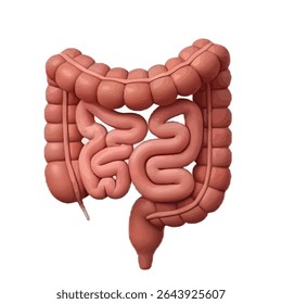 Origem do Corpo Humano: Perspectiva Científica - Conceito de Biologia Evolutiva