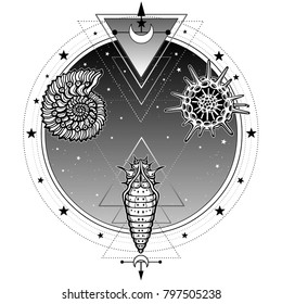 Origin of life: shell, radiolaria, larva. Background - a circle of the night star sky. Alchemy, magic, esoteric, occultism. Vector illustration isolated on a white background. Print, poster, t-shirt.