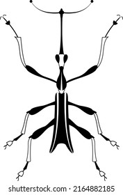 Original art insect illustration.
Black and white insect image for design
