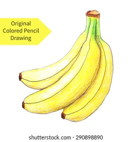 Original banana drawn by color pencils. Vector illustration of isolated object on white background.