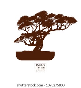 Original bonsai style wine Detailed vector illustrations Decorative arts Small plant in pot Decorative plants, dwarf trees, ornamental plants