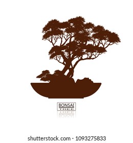 Original bonsai style wine Detailed vector illustrations Decorative arts Small plant in pot Decorative plants, dwarf trees, ornamental plants