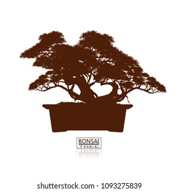 Original bonsai style wine Detailed vector illustrations Decorative arts Small plant in pot Decorative plants, dwarf trees, ornamental plants