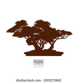 Original bonsai style wine Detailed vector illustrations Decorative arts Small plant in pot Decorative plants, dwarf trees, ornamental plants