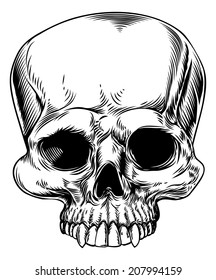 An original drawing of a human skull in a etched woodcut style