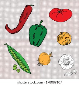 original drawing of onion, chilly pepper, tomato and pea 