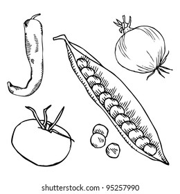 original drawing of onion, chilly pepper, tomato and pea