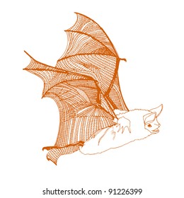 Original drawing of orange bat.