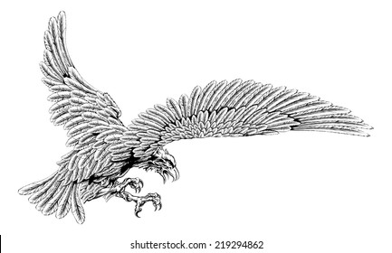 Original eagle illustration of an eagle swooping in for the kill in a vintage style