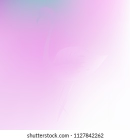 Original gradient background with flamingo shadow. Cute colorful texture. Bright and unusual wallpaper with flamingo.