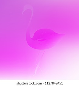 Original gradient background with flamingo shadow. Cute colorful texture. Bright and unusual wallpaper with flamingo.