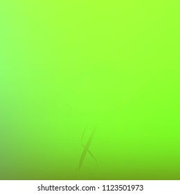Original gradient background in green and yellow tones. Amazing gradient texture with flamingo. Eco-oriented gradient wallpaper.