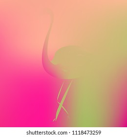 Original gradient flamingo background. Pink colored amazing texture. Gentle flamingo gradient. Colorful background with flamingo
