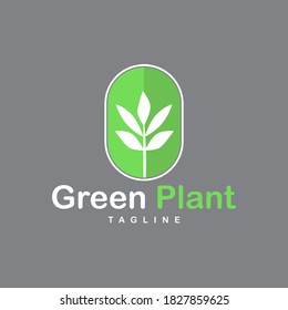 Original green leaf concept logo design. vector