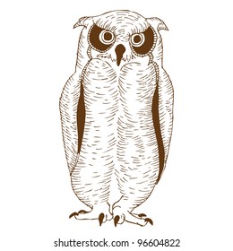 Original Hand drawing of Owl- vectorized